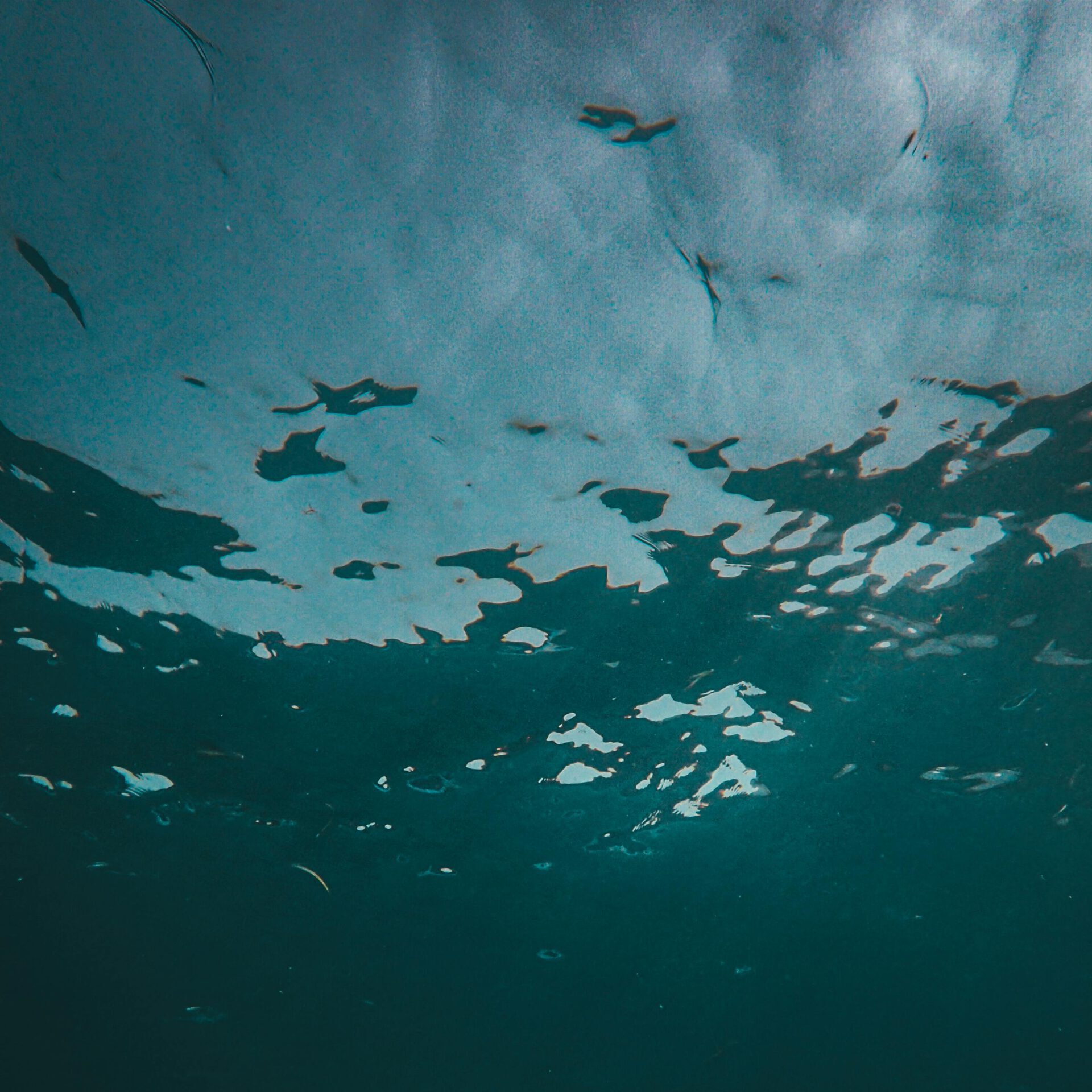 Serene deep ocean scene with diffused sunlight filtering through the water surface.